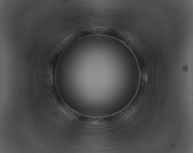 X0000091461252200708301823