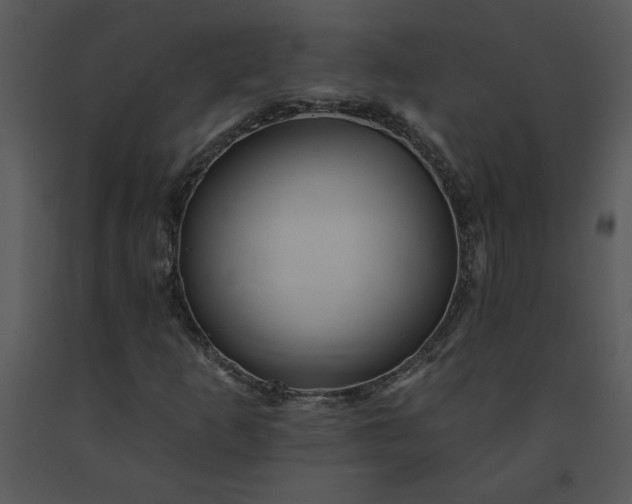 X0000091461253200708301823