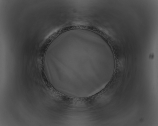 X0000091461254200708301823