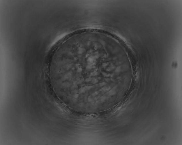 X0000091461255200708301823