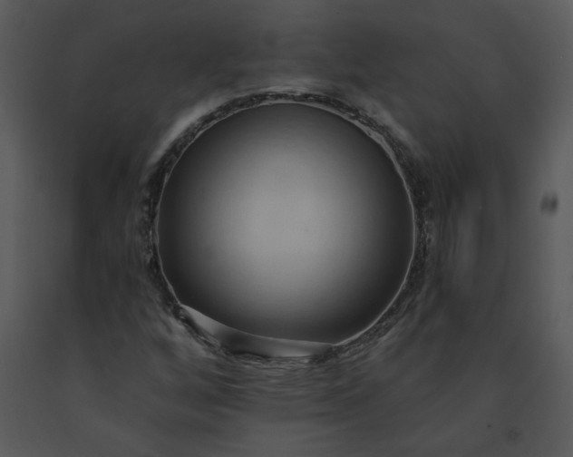 X0000091461256200708301823