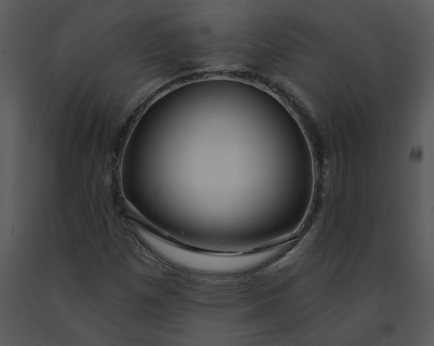 X0000091461257200708301823