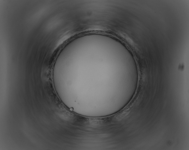 X0000091461258200708301823