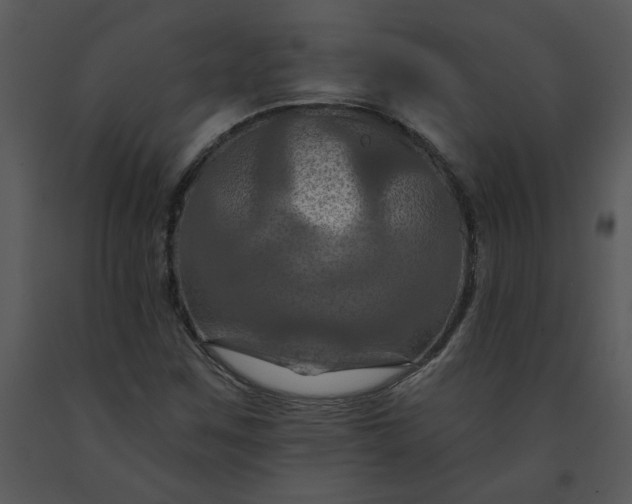 X0000091461259200708301823