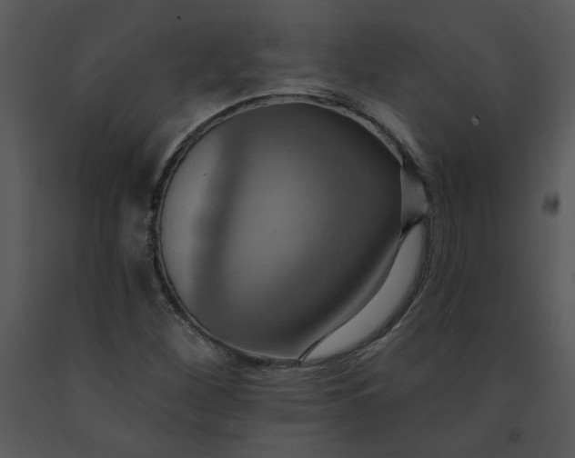 X0000091461260200708301823