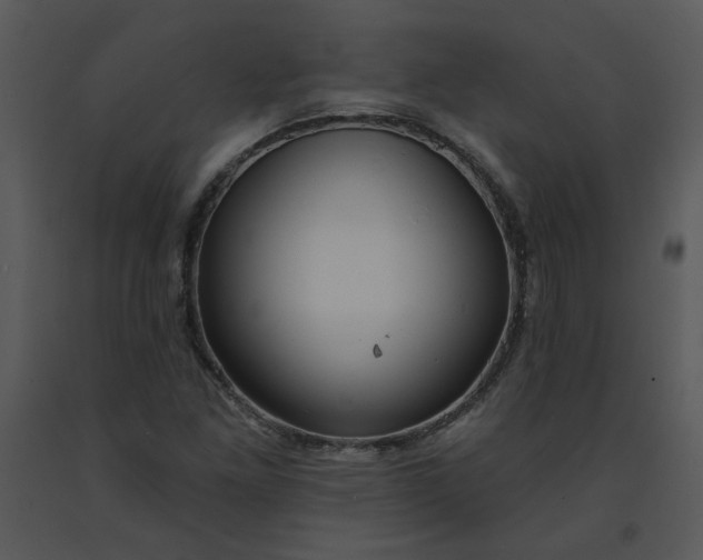 X0000091461261200708301823