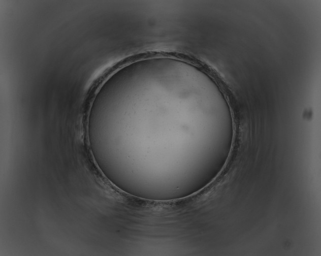 X0000091461262200708301823