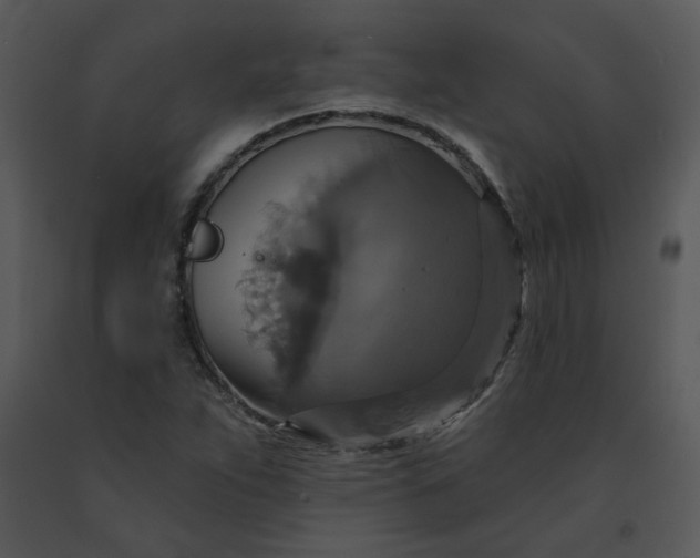 X0000091461263200708301823