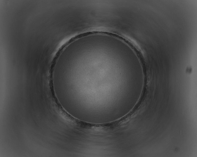 X0000091461264200708301823