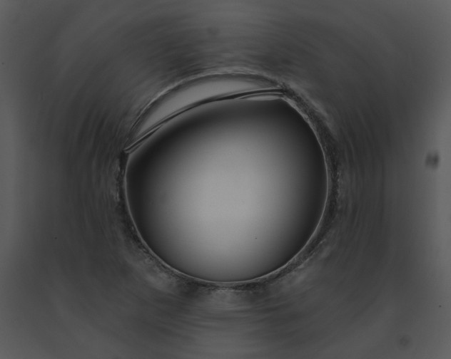 X0000091461265200708301823