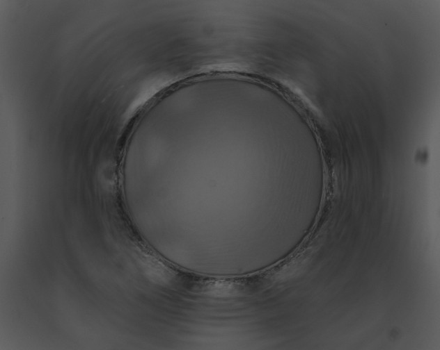 X0000091461266200708301823