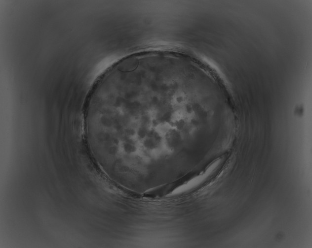 X0000091461267200708301823