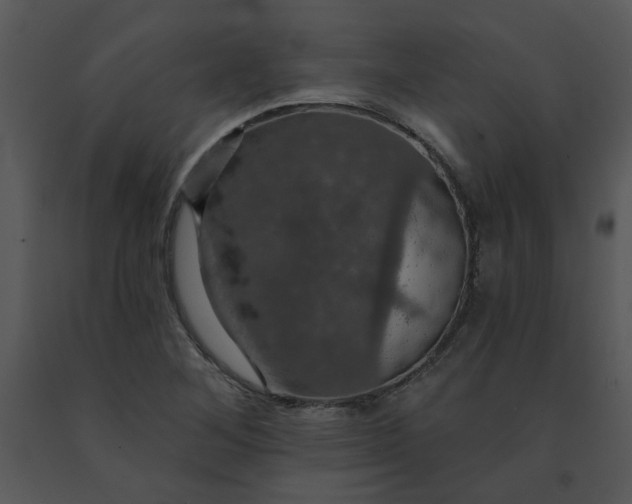 X0000091461268200708301823