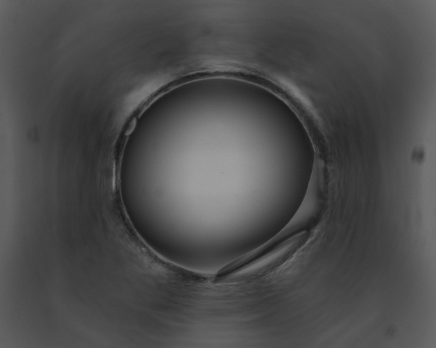 X0000091461269200708301823