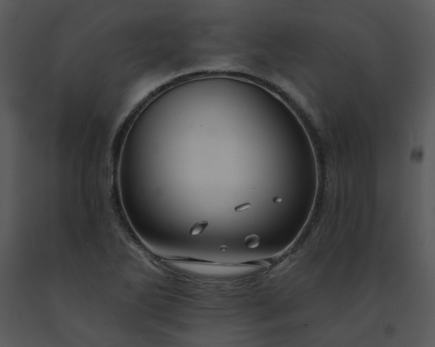 X0000091461270200708301823