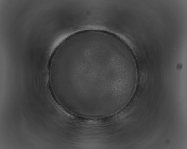 X0000091461271200708301823