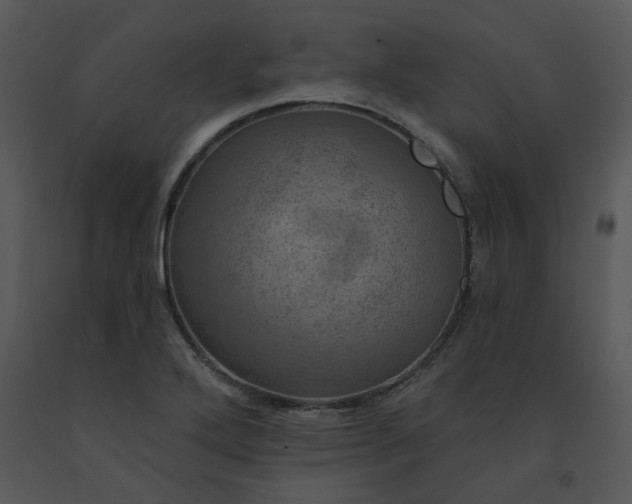 X0000091461272200708301823