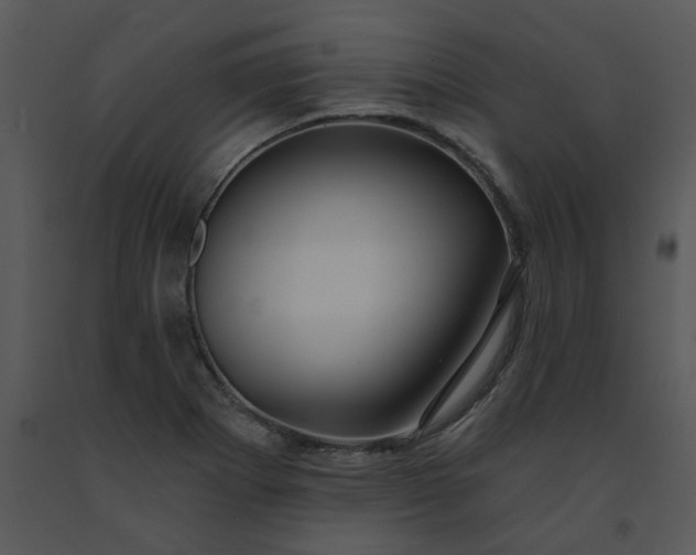 X0000091461273200708301823