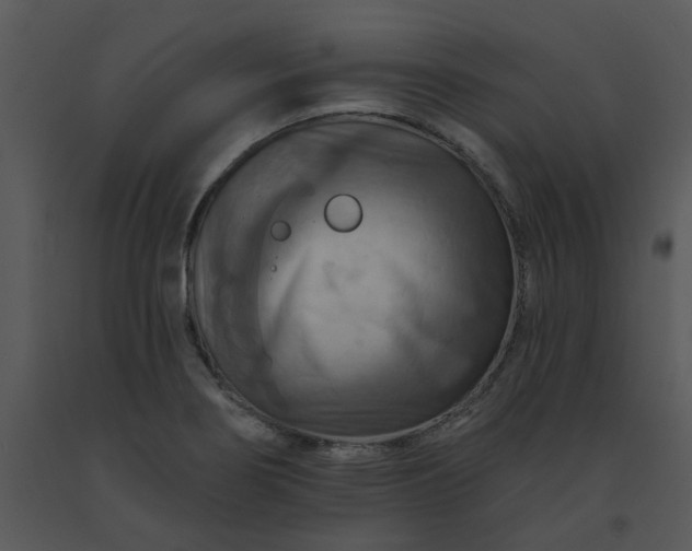 X0000091461274200708301823