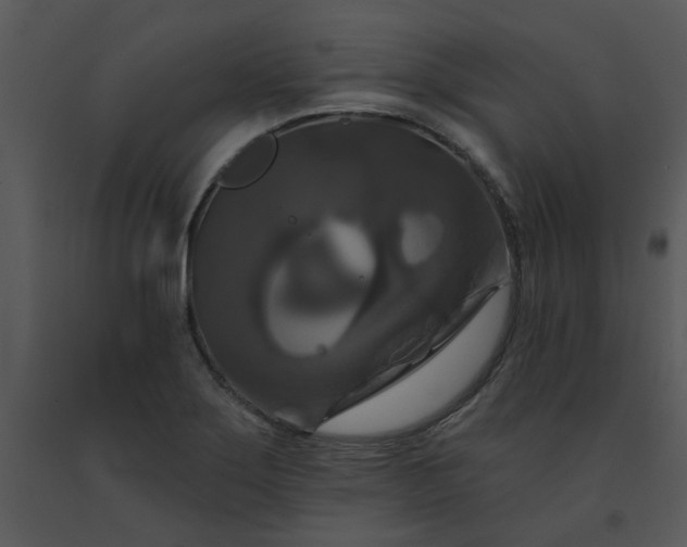 X0000091461275200708301823