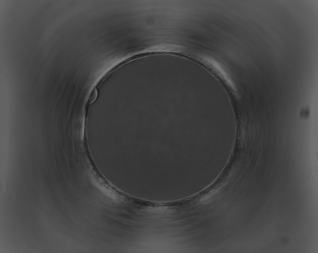 X0000091461276200708301823