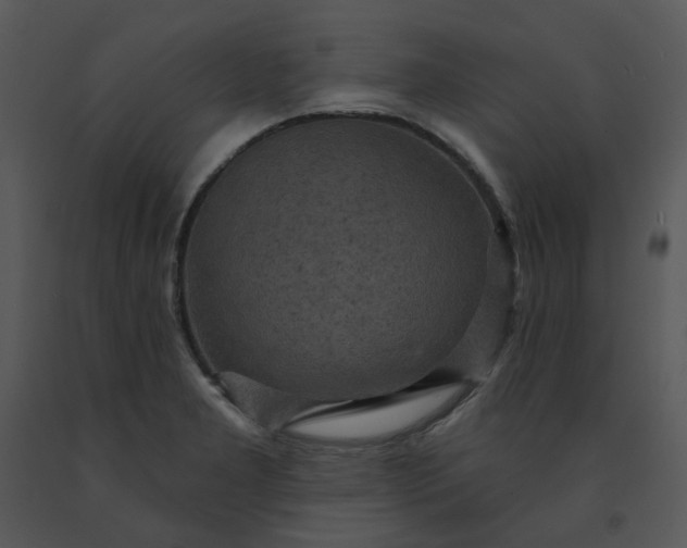 X0000091461277200708301823