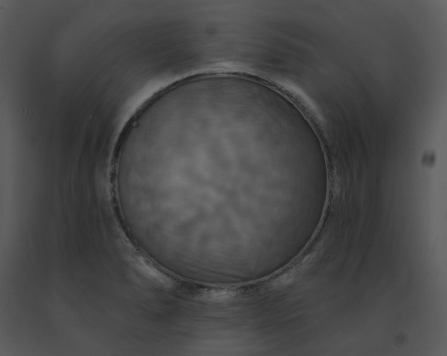 X0000091461278200708301823