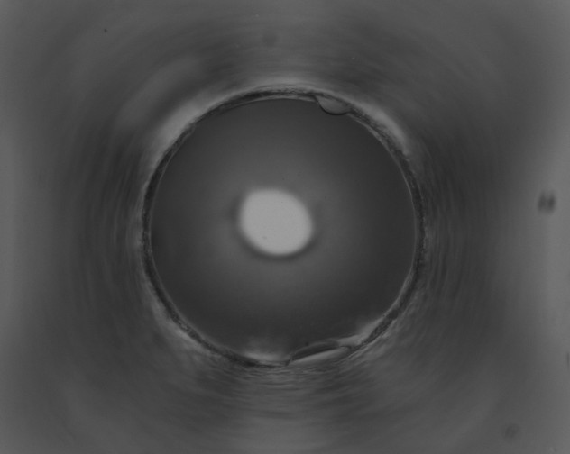 X0000091461279200708301823