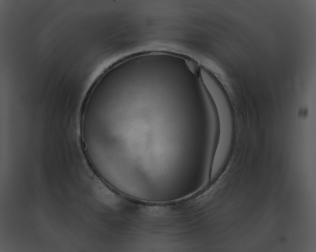 X0000091461280200708301823