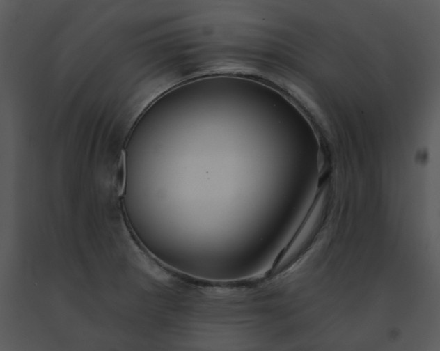 X0000091461281200708301823