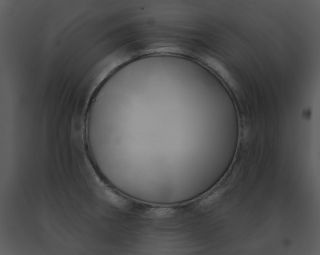 X0000091461282200708301823