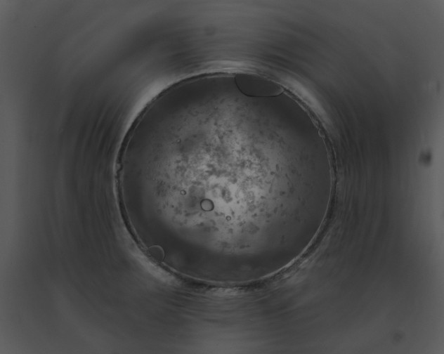 X0000091461283200708301823