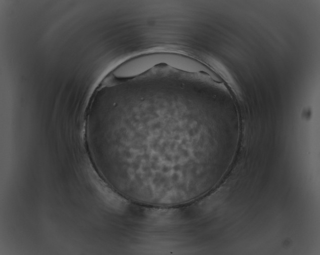 X0000091461284200708301823