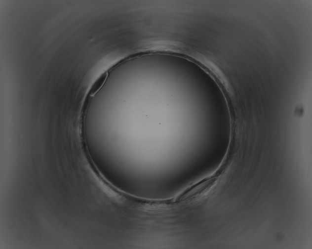 X0000091461285200708301823