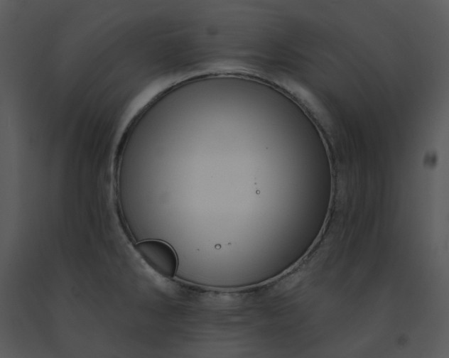 X0000091461286200708301823