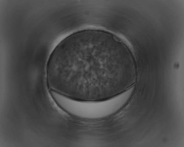 X0000091461287200708301823