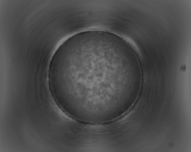 X0000091461288200708301823