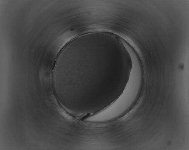 X0000091461289200708301823