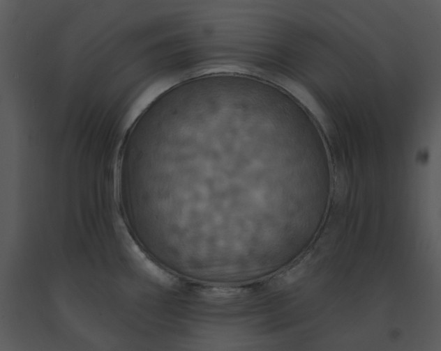 X0000091461290200708301823