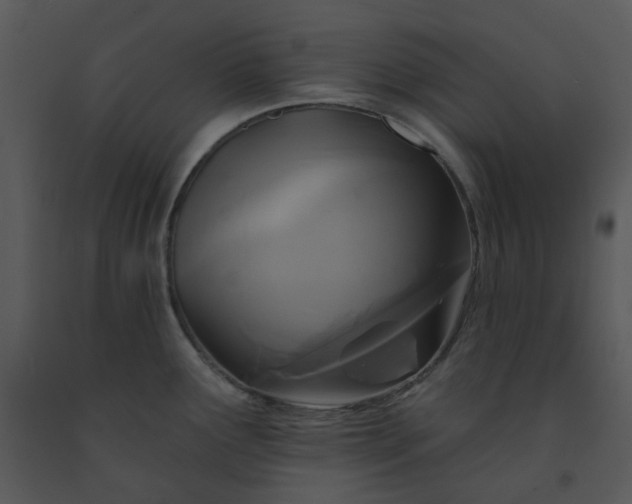 X0000091461291200708301823