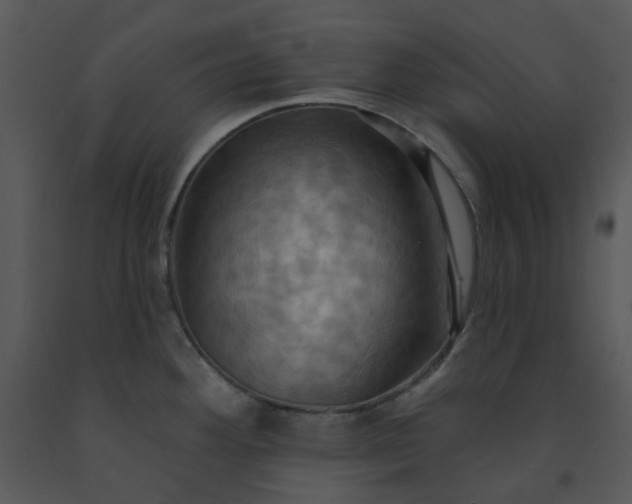 X0000091461292200708301823