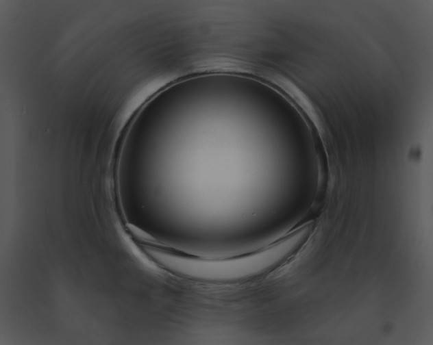 X0000091461293200708301823