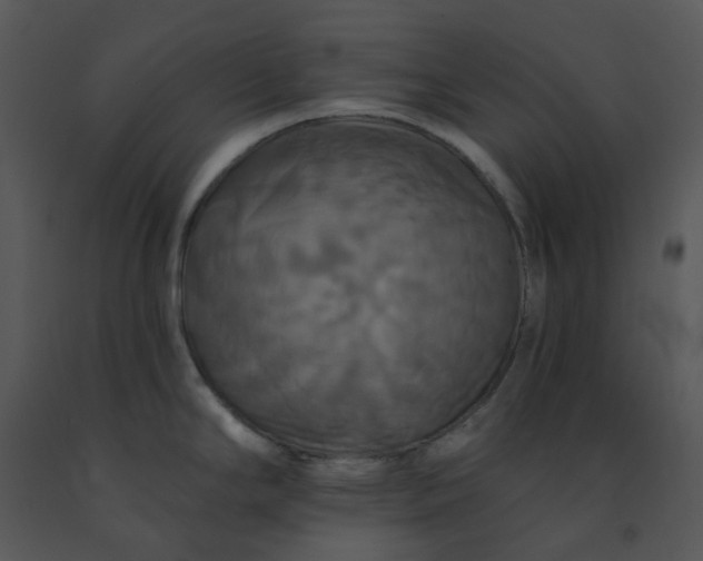 X0000091461294200708301823