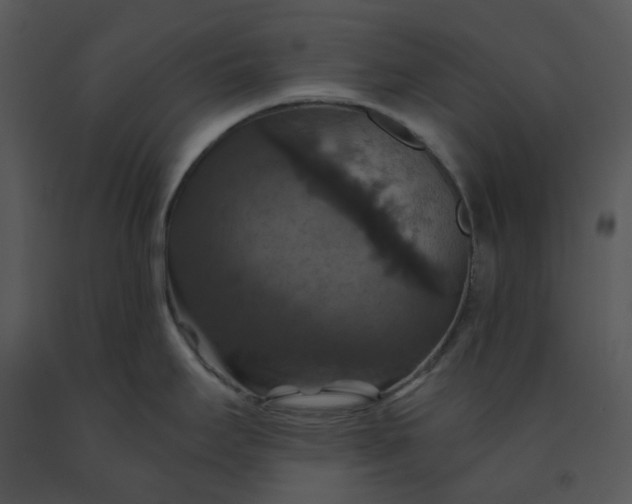 X0000091461295200708301823