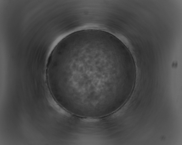 X0000091461296200708301823