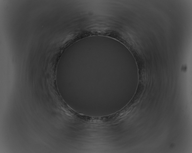 X0000091461297200708301822