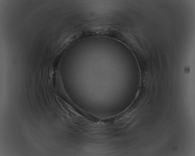 X0000091461298200708301822