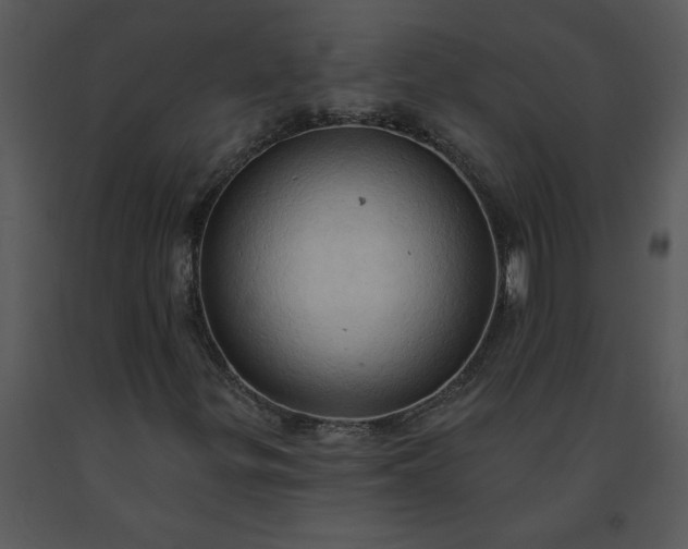 X0000091461299200708301822