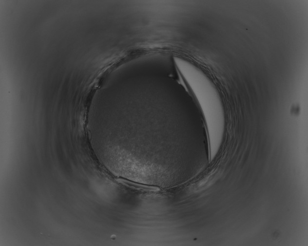 X0000091461300200708301822