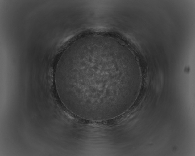 X0000091461301200708301822